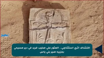 اكتشاف أثري استثنائي.. العثور على صليب فريد في دير مسيحي بجزيرة صير بني ياس